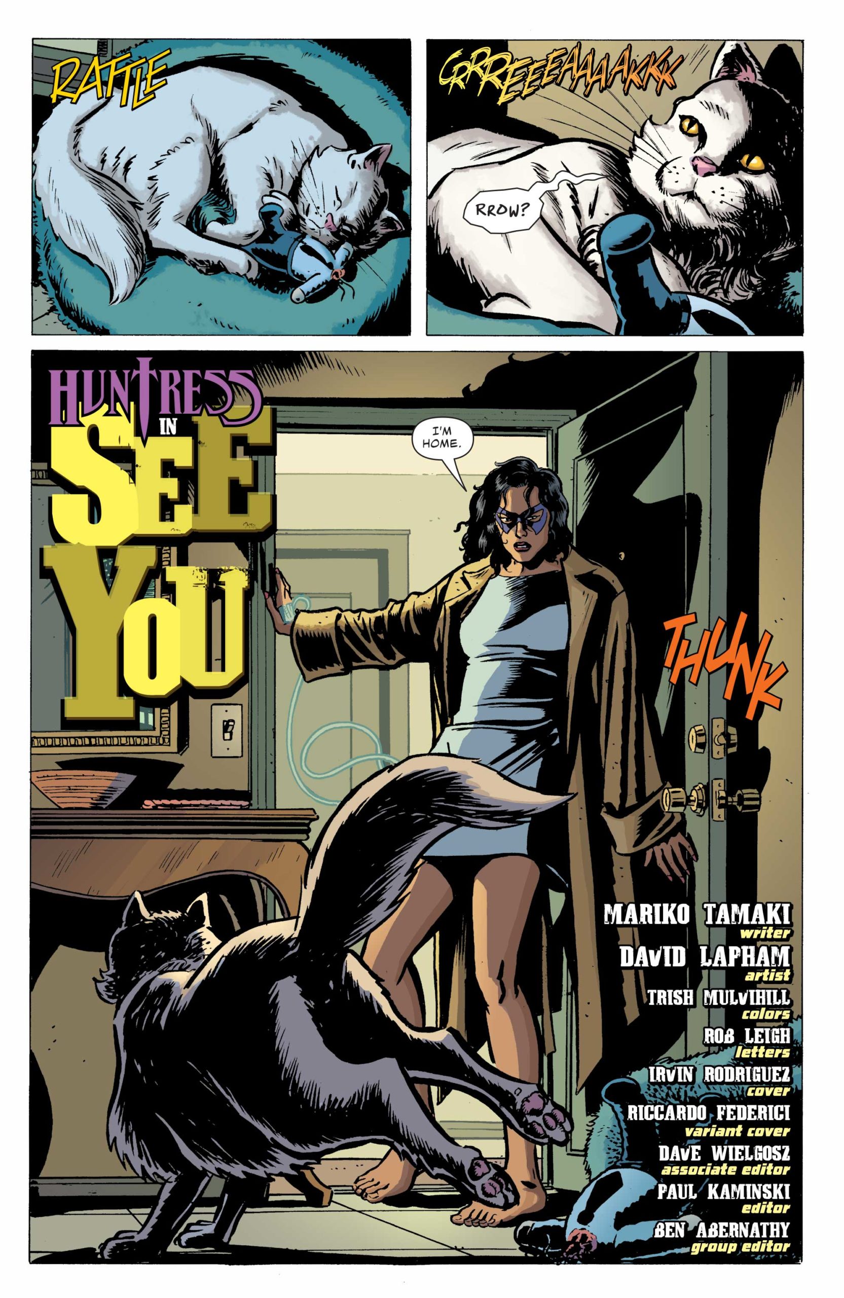 Batman Secret Files Huntress DC Comics