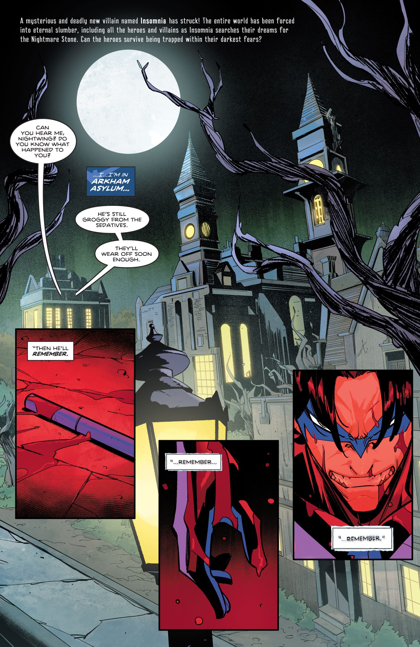 batman beyond and nightwing